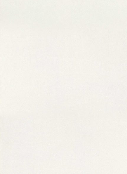 Alfa Tops Standard - Стандарт 0406