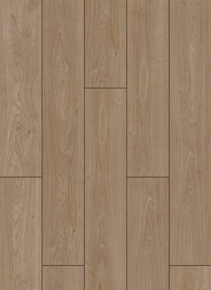laminato 2022