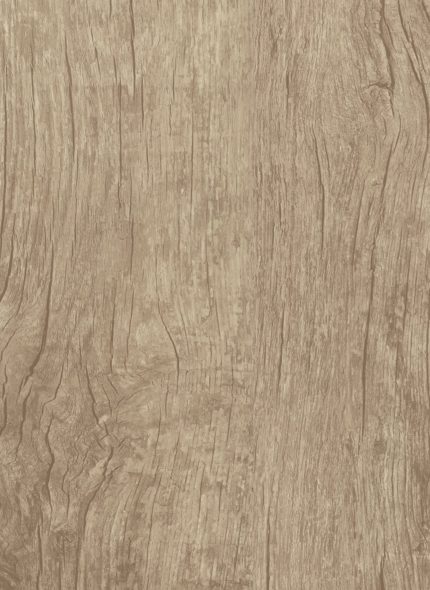 Alfa Tops Exclusive - Exclusive 4509