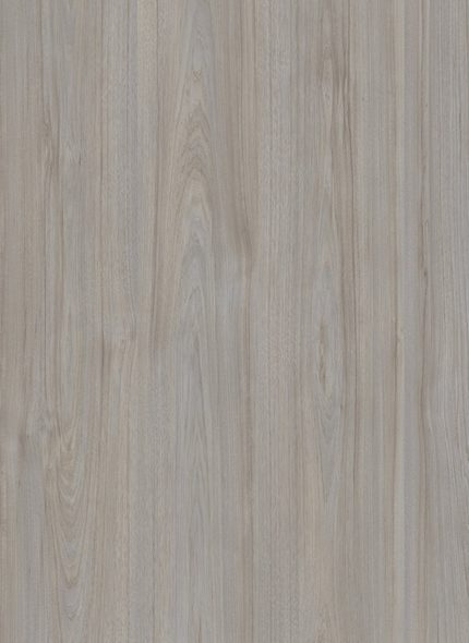 Alfa Tops Exclusive - Exclusive 4672