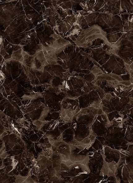 Alfa Tops Exclusive - Exclusive 5658