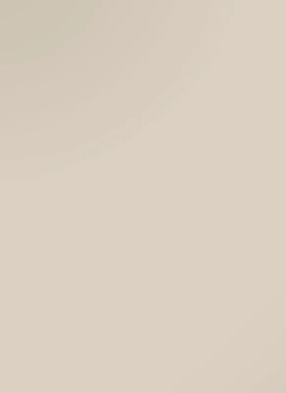 Alfa Surfaces Pet Gloss - Pet Gloss Beige 7315