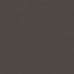 0074 shagreen graphite surface