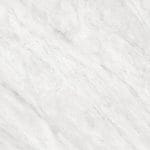 4200 SUPERFICIE SETA