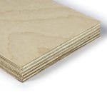 WHITE BIRCH AGAINST PLATE