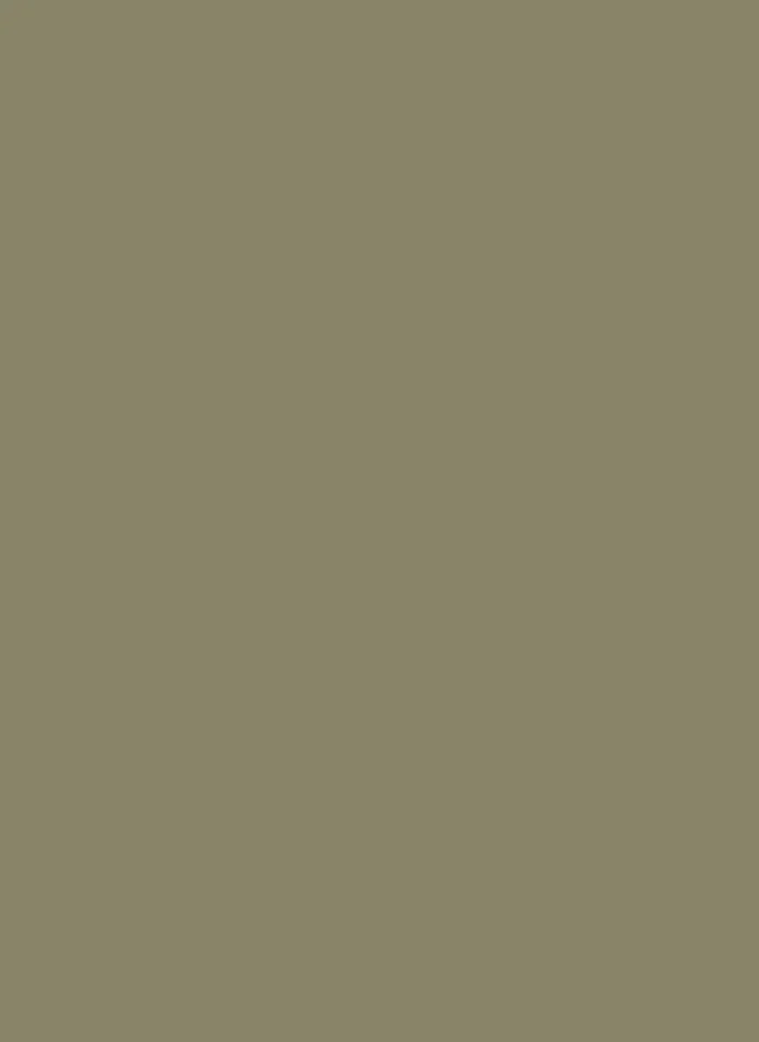 5864 Lichen Green Pet Matt - Image 1