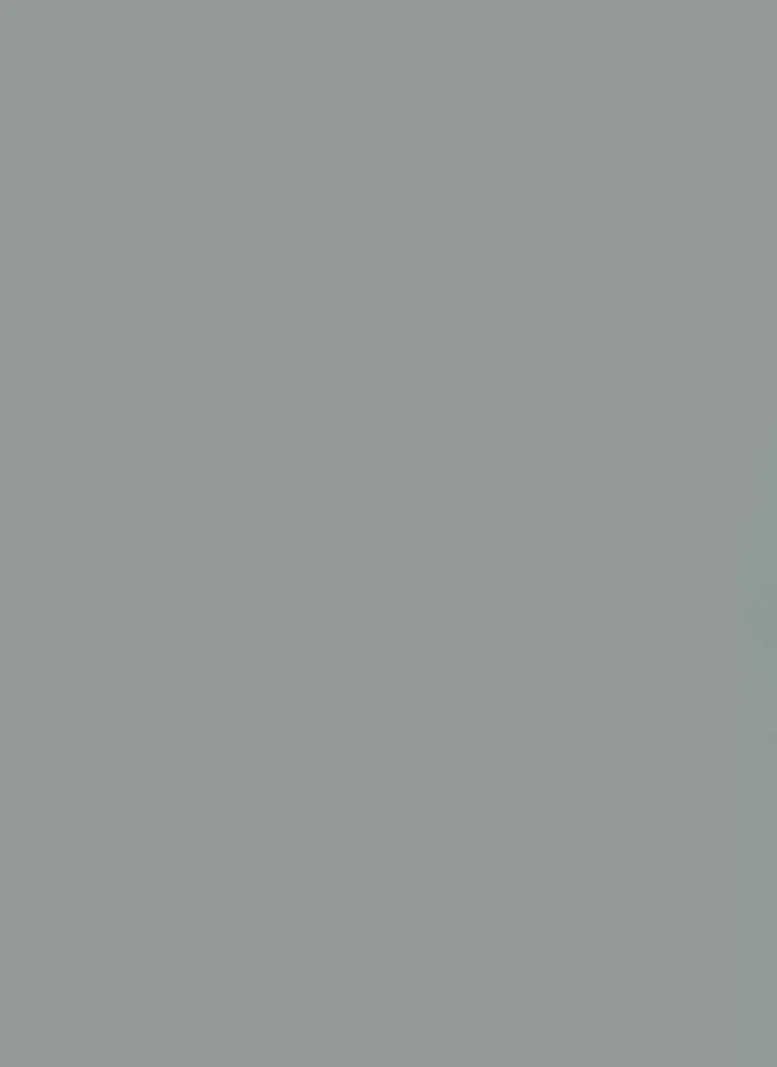 5881 PETMATT- DUSK BLUE