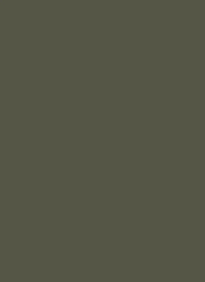 5883 PETMATT SMOKE GREEN