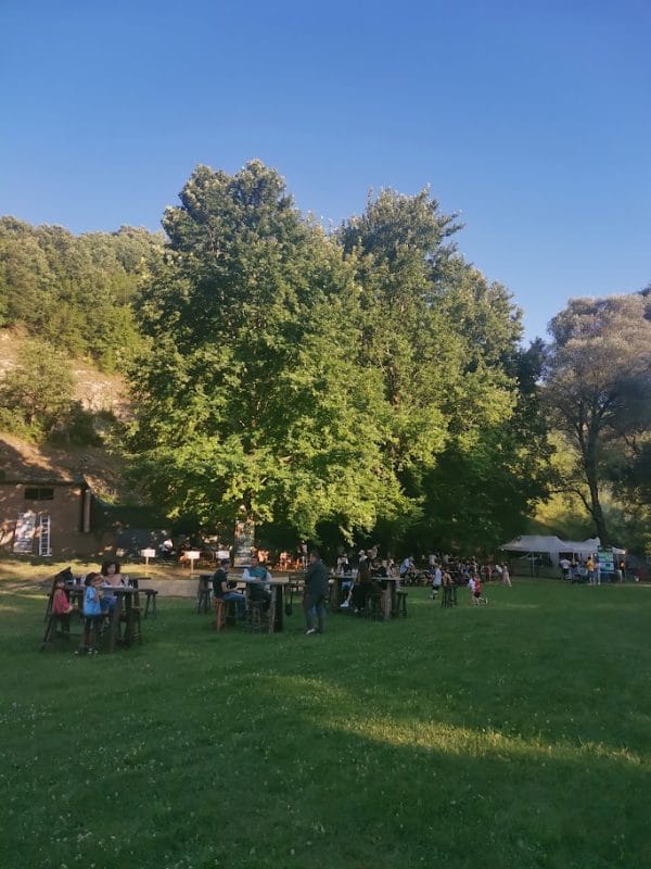 forestival-2025-3